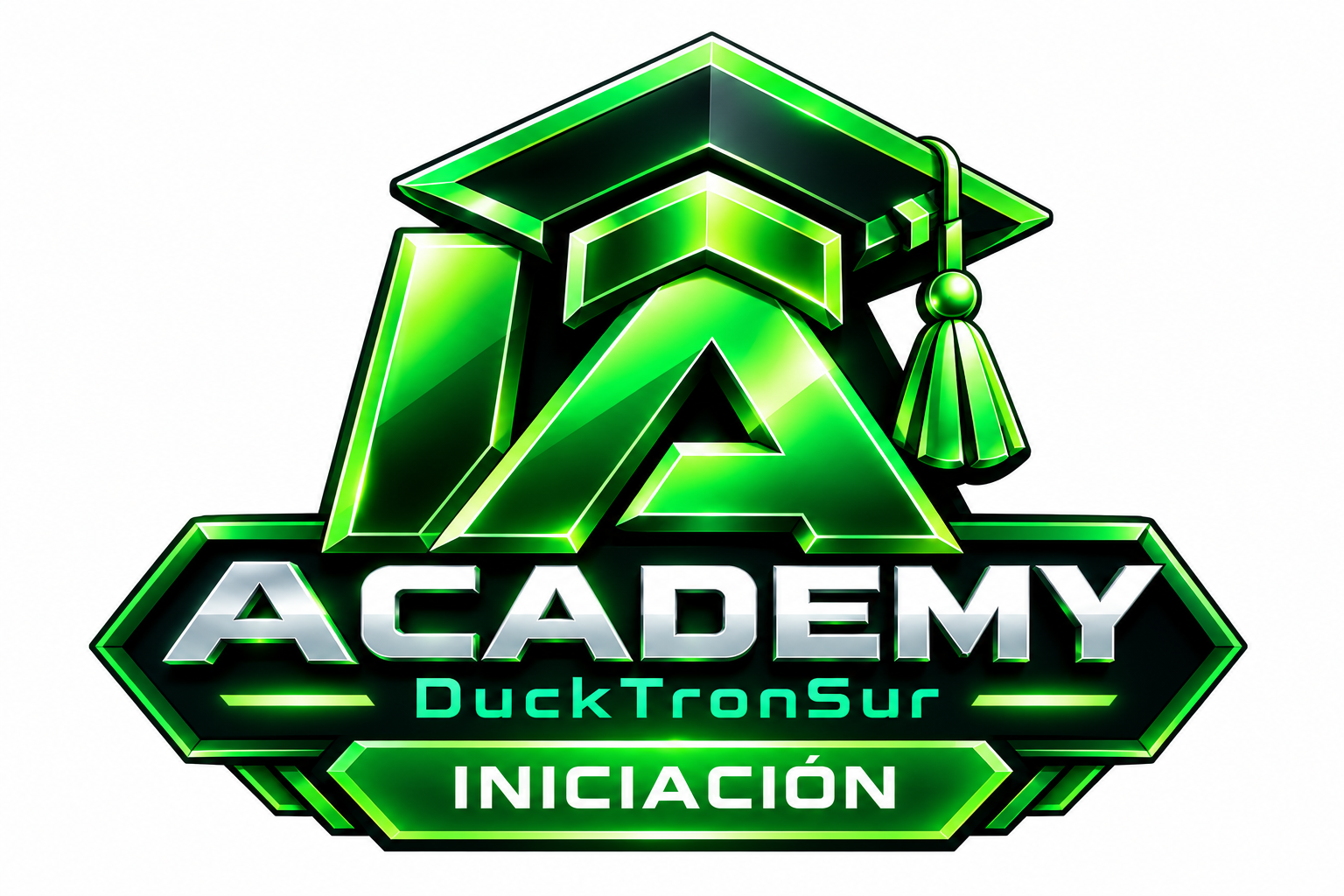 Insignia Academy de nivel iniciación